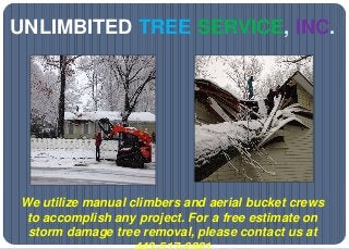 UNLIMBITED TREE SERVICE, INC.
We utilize manual climbers and aerial bucket crews
to accomplish any project. For a free estimate on
storm damage tree removal, please contact us at
 