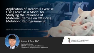 Copyright 2022. All Rights Reserved. Contact Presenter for Permission
Application of Treadmill Exercise
Using Mice as a Model for
Studying the Influence of
Maternal Exercise on Offspring
Metabolic Reprogramming
Junseok Sun, PhD
OB/GYN and Reproductive Sciences
University of Maryland School of Medicine
Assistant Professor
 