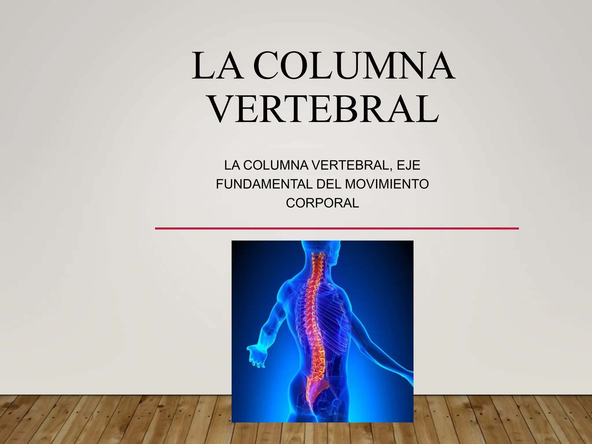 columna VERTEBRAL DEFINION OBJETIVOS ,NOMBRES | PDF