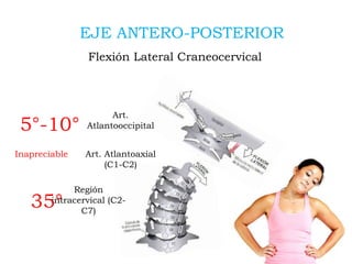 Art. Atlantoaxial
(C1-C2)
Región
intracervical (C2-
C7)
5°-10°
EJE ANTERO-POSTERIOR
Flexión Lateral Craneocervical
Inapreciable
Art.
Atlantooccipital
35°
 