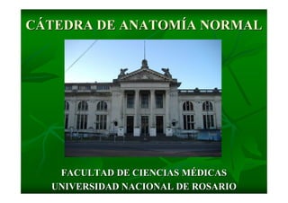 CÁTEDRA DE ANATOMÍA NORMAL




   FACULTAD DE CIENCIAS MÉDICAS
  UNIVERSIDAD NACIONAL DE ROSARIO
 