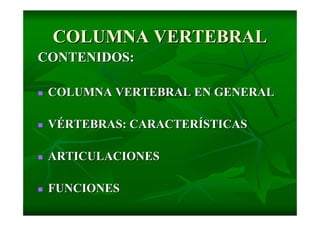 Columna Vertebral