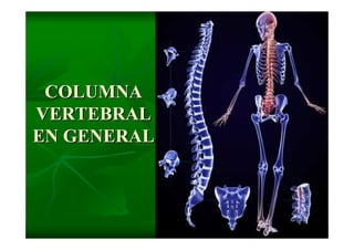 Columna Vertebral