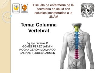 Escuela de enfermería de la
secretaria de salud con
estudios incorporados a la
UNAM
Equipo numero 11
GOMEZ PEREZ JAZMIN
ROCHA GERONIMO MARCO
SALINAS FLORES CARMEN
Tema: Columna
Vertebral
 