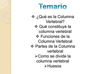  ¿Qué es la Columna
Vertebral?
 Qué constituye la
columna vertebral
 Funciones de la
Columna Vertebral
 Partes de la Columna
vertebral
Como se divide la
columna vertebral
Huesos
 