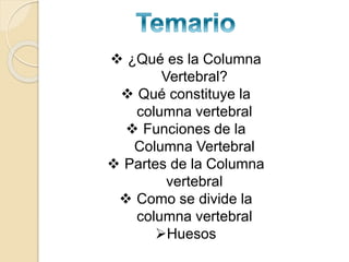  ¿Qué es la Columna
Vertebral?
 Qué constituye la
columna vertebral
 Funciones de la
Columna Vertebral
 Partes de la Columna
vertebral
 Como se divide la
columna vertebral
Huesos
 