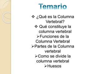  ¿Qué es la Columna
Vertebral?
 Qué constituye la
columna vertebral
Funciones de la
Columna Vertebral
Partes de la Columna
vertebral
Como se divide la
columna vertebral
Huesos
 