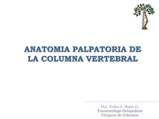 Dra. Erika A. Rojas G.
Traumatólogo Ortopedista
Cirujano de Columna
ANATOMIA PALPATORIA DE
LA COLUMNA VERTEBRAL
 