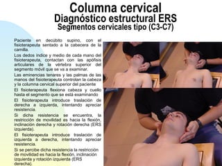 Columna cervical
Diagnóstico estructural ERS
Segmentos cervicales tipo (C3-C7)
Paciente en decúbito supino, con el
fisioterapeuta sentado a la cabecera de la
camilla.
Los dedos índice y medio de cada mano del
fisioterapeuta, contactan con las apófisis
articulares de la vértebra superior del
segmento móvil que se va a examinar.
Las eminencias tenares y las palmas de las
manos del fisioterapeuta controlan la cabeza
y la columna cervical superior del paciente
El fisioterapeuta flexiona cabeza y cuello
hasta el segmento que se está examinando
El fisioterapeuta introduce traslación de
derecha a izquierda, intentando apreciar
resistencia.
Si dicha resistencia se encuentra, la
restricción de movilidad es hacia la flexión,
inclinación derecha y rotación derecha (ERS
izquierda).
El fisioterapeuta introduce traslación de
izquierda a derecha, intentando apreciar
resistencia.
Si se percibe dicha resistencia la restricción
de movilidad es hacia la flexión, inclinación
izquierda y rotación izquierda (ERS
derecha).
 