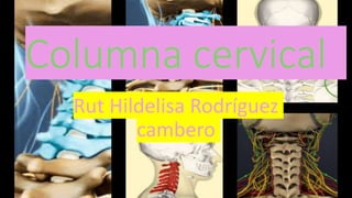 Columna cervical
Rut Hildelisa Rodríguez
cambero
 