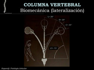 COLUMNA VERTEBRAL
Biomecánica (lateralización)Biomecánica (lateralización)
Kapandji. Fisiología Articular
L= 20°
D= 20°
C= 35°
LT= 75°
 