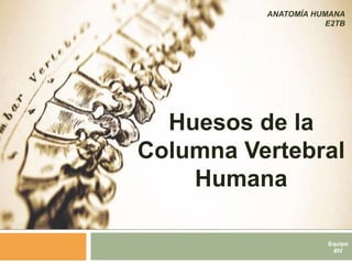 TÍTULO DE LA
PRESENTACIÓN
SUBTÍTULO DE LA
PRESENTACIÓN
Equipo
#IV
Huesos de la
Columna Vertebral
Humana
ANATOMÍA HUMANA
E2TB
 