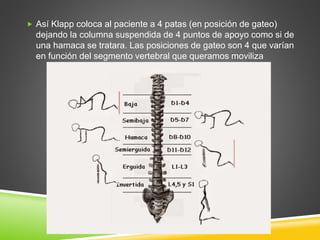  Así Klapp coloca al paciente a 4 patas (en posición de gateo)
dejando la columna suspendida de 4 puntos de apoyo como si de
una hamaca se tratara. Las posiciones de gateo son 4 que varían
en función del segmento vertebral que queramos moviliza
 