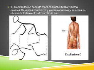  1.- Deambulación debe de tener habitual el brazo y pierna
opuesta. Se realiza con brazos y piernas opuestos y se utiliza en
el caso de tratamientos de escoliosis en c.
 
