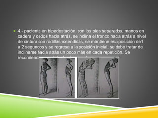  4.- paciente en bipedestación, con los pies separados, manos en
cadera y dedos hacia atrás, se inclina el tronco hacia atrás a nivel
de cintura con rodillas extendidas, se mantiene esa posición de1
a 2 segundos y se regresa a la posición inicial, se debe tratar de
inclinarse hacia atrás un poco más en cada repetición. Se
recomienda para dolor lumbar agudo.
 