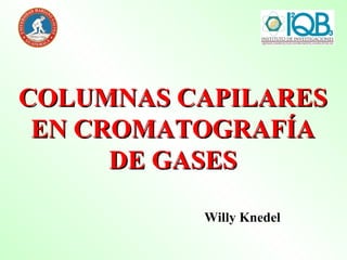 COLUMNAS CAPILARES EN CROMATOGRAFÍA DE GASES Willy Knedel 