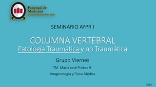 COLUMNA VERTEBRAL
Patología Traumática y no Traumática
SEMINARIO AYPR I
Grupo Viernes
TM. María José Prokes H.
Imagenología y Física Médica
2016
 