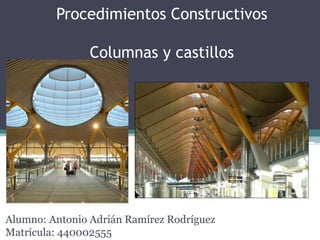 Procedimientos Constructivos
Columnas y castillos
Alumno: Antonio Adrián Ramírez Rodríguez
Matrícula: 440002555
 