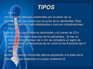 TIPOS
• Tipo I
son fracturas oblicuas unilaterales por avulsión de un
ligamento alar que pasan por la punta de la odontoides. Esta
   fractura rara vez está desplazada y cura sin complicaciones.
• Tipo II
ocurren en la unión entre la odontoides y el cuerpo de C2 e
interrumpen el aporte vascular de la odontoides . Si hay un
   desplazamiento mayor de 4 mm se considera un signo de
   inestabilidad. La frecuencia de no unión en las fracturas tipo II
   es elevada
• Tipo III
tienen un trayecto horizontal oblicua adyacente a la base de la
odontoides con extensión al cuerpo vertebral C2.
 