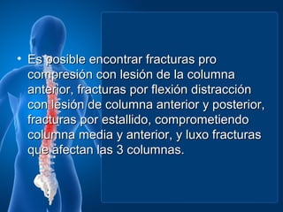 • Es posible encontrar fracturas pro
  compresión con lesión de la columna
  anterior, fracturas por flexión distracción
  con lesión de columna anterior y posterior,
  fracturas por estallido, comprometiendo
  columna media y anterior, y luxo fracturas
  que afectan las 3 columnas.
 