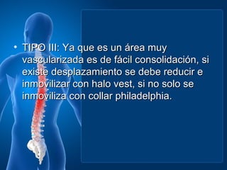 • TIPO III: Ya que es un área muy
  vascularizada es de fácil consolidación, si
  existe desplazamiento se debe reducir e
  inmovilizar con halo vest, si no solo se
  inmoviliza con collar philadelphia.
 
