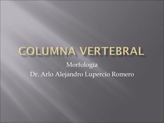 Morfología Dr. Arlo Alejandro Lupercio Romero 
