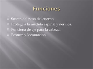 Sostén del peso del cuerpo Protege a la médula espinal y nervios. Funciona de eje para la cabeza. Postura y locomoción. 