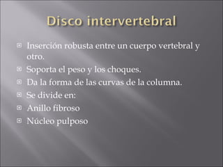 Inserción robusta entre un cuerpo vertebral y otro. Soporta el peso y los choques. Da la forma de las curvas de la columna. Se divide en: Anillo fibroso Núcleo pulposo 