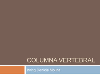 Columna vertebral Irving Denicia Molina 