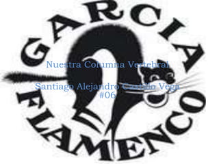 Nuestra Columna Vertebral Santiago Alejandro Castillo Vega #06 