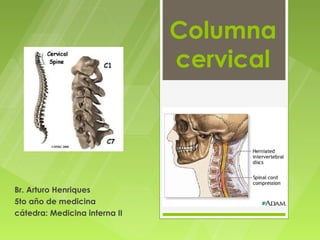 Columna
                               cervical




Br. Arturo Henriques
5to año de medicina
cátedra: Medicina interna II
 
