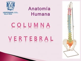 Anatomía
 Humana
 