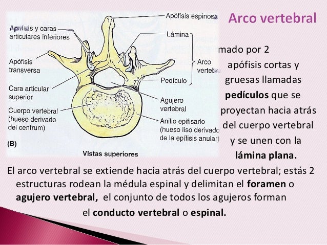 folladas
