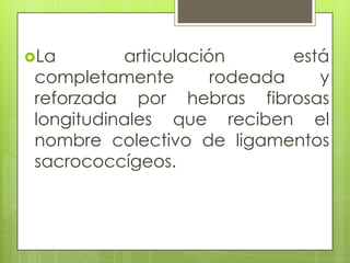 La

articulación
está
completamente
rodeada
y
reforzada por hebras fibrosas
longitudinales que reciben el
nombre colectivo de ligamentos
sacrococcígeos.

 