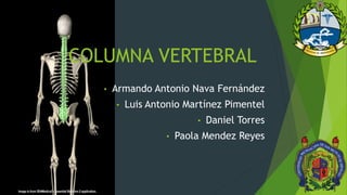 COLUMNA VERTEBRAL
• Armando Antonio Nava Fernández
• Luis Antonio Martínez Pimentel
• Daniel Torres
• Paola Mendez Reyes
 