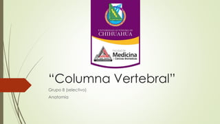 “Columna Vertebral”
Grupo 8 (selectivo)
Anatomía
 