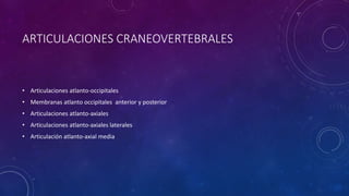 ARTICULACIONES CRANEOVERTEBRALES
• Articulaciones atlanto-occipitales
• Membranas atlanto occipitales anterior y posterior
• Articulaciones atlanto-axiales
• Articulaciones atlanto-axiales laterales
• Articulación atlanto-axial media
 