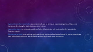 • Ligamento cruciforme del atlas: así denominado por su forma de cruz, se compone del ligamento
transverso del atlas y los fascículos superior e inferior.
• Ligamentos alares; se extienden desde los lados del diente del axis hasta los bordes laterales del
foramen magno.
• Membrana tectoria: es la potente continuación del ligamento longitudinal posterior que se ensancha y
pasa posteriormente sobre la articulación atalnto-axial media y sus ligamentos
 