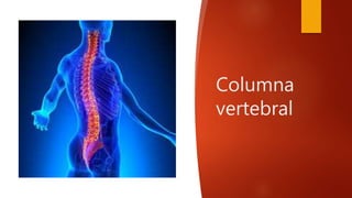 Columna
vertebral
 