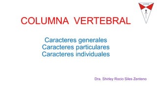 COLUMNA VERTEBRAL
Caracteres generales
Caracteres particulares
Caracteres individuales
Dra. Shirley Rocio Siles Zenteno
 