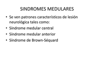 SINDROMES MEDULARES
• Se ven patrones característicos de lesión
neurológica tales como:
• Síndrome medular central
• Síndrome medular anterior
• Síndrome de Brown-Séquard
 
