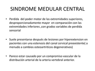 SINDROME MEDULAR CENTRAL
• Perdida del poder motor de las extremidades superiores,
desproporcionadamente mayor en comparación con las
extremidades inferiores ,con grados variables de perdida
sensorial
• Suele presentarse después de lesiones por hiperextension en
pacientes con una estenosis del canal cervical preexistente( a
menudo a cambios osteoartriticos degenerativos)
• Parece estar causado por un compromiso vascular de la
distribución arterial de la arteria vertebral anterior.
 