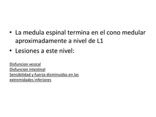 • La medula espinal termina en el cono medular
aproximadamente a nivel de L1
• Lesiones a este nivel:
Disfuncion vesical
Disfuncion intestinal
Sensibilidad y fuerza disminuidas en las
extremidades inferiores
 