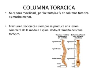 COLUMNA TORACICA
• Muy poca movilidad , por lo tanto las fx de columna torácica
es mucho menor.
• Fractura-luxacion casi siempre se produce una lesión
completa de la medula espinal dado el tamaño del canal
torácico
 