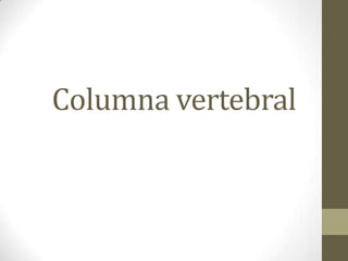 Columna vertebral
 