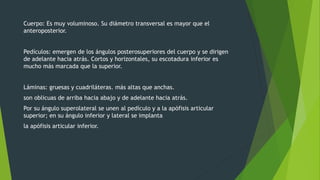 Cuerpo: Es muy voluminoso. Su diámetro transversal es mayor que el
anteroposterior.
Pedículos: emergen de los ángulos posterosuperiores del cuerpo y se dirigen
de adelante hacia atrás. Cortos y horizontales, su escotadura inferior es
mucho más marcada que la superior.
Láminas: gruesas y cuadriláteras. más altas que anchas.
son oblicuas de arriba hacia abajo y de adelante hacia atrás.
Por su ángulo superolateral se unen al pedículo y a la apófisis articular
superior; en su ángulo inferior y lateral se implanta
la apófisis articular inferior.
 