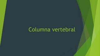 Columna vertebral
 