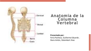 Anatomía de la
Columna
Vertebral
Presentado por:
Feria Pacheco, Guillermo Eduardo .
Davis Antón, Dalambert Jhoe
 