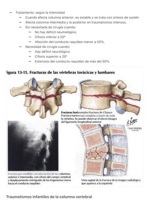 RESUMEN DE COLUMNA VERTEBRAL. NETTER ORTOPEDIA.pdf