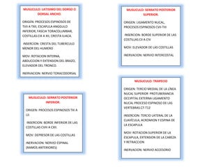 MUSUCULO: LATISIMO DEL DORSO O
DORSAL ANCHO.
ORIGEN: PROCESOS ESPINOSOS DE
TVII A TXII, ESCAPULA ANGGULO
INFERIOR, FASCIA TORACOLUMBAR,
COSTILLAS CIX A XII, CRESTA ILIACA.
INSERCION: CRESTA DEL TUBERCULO
MENOR DEL HUMERO
MOV: ROTACION INTERNA,
ABDUCCION Y EXTENSION DEL BRAZO,
ELEVADOR DEL TRONCO.
INERVACION: NERVIO TORACODORSAL
MUSUCULO: SERRATO POSTERIOR
SUPERIOR.
ORIGEN: LIGAMENTO NUCAL,
PROCESOS ESPINOSOS CVII-TIII
INSERCION: BORDE SUPERIOR DE LAS
COSTILLAS CII A CIV
MOV: ELEVADOR DE LAS COSTILLAS
INERVACION: NERVIO INTERCOSTAL
MUSUCULO: SERRATO POSTERIOR
INFERIOR.
ORIGEN: PROCESOS ESPINOSOS TXI A
LII.
INSERCION: BORDE INFERIOR DE LAS
COSTILLAS CVIII A CXII.
MOV: DEPRESOR DE LAS COSTILLAS
INERVACION: NERVIO ESPINAL
(RAMOS ANTERIORES)
MUSUCULO: TRAPECIO
ORIGEN: TERCIO MEDIAL DE LA LÍNEA
NUCAL SUPERIOR PROTUBERANCIA
OCCIPITAL EXTERNA LIGAMENTO
NUCAL PROCESO ESPINOSO DE LAS
VERTEBRAS C7-T12
INSERCION: TERCIO LATERAL DE LA
CLAVÍCULA; ACROMION Y ESPINA DE
LA ESCAPULA
MOV: ROTACION SUPERIOR DE LA
ESCAPULA, EXTENSION DE LA CABEZA
Y RETRACCION
INERVACION: NERVIO ACCESORIO
 